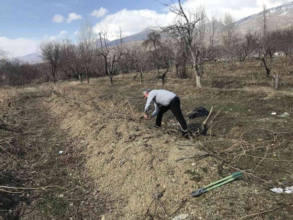 Tescilli Cimin üzümü mesaisi başladı