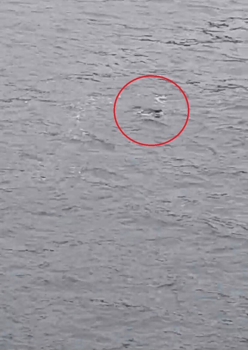 Ukrayna’dan ailesinin yanına gelen Türk öğrenci feribottan denize atlayarak hayatını kaybetti