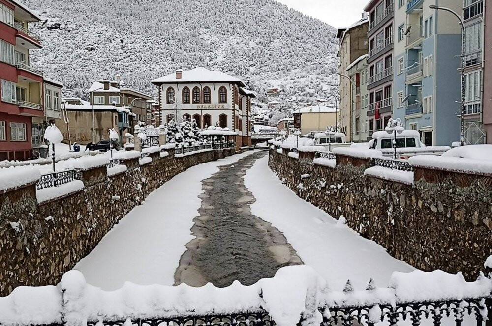 Konya’da kar yağışı ağaçları devirdi