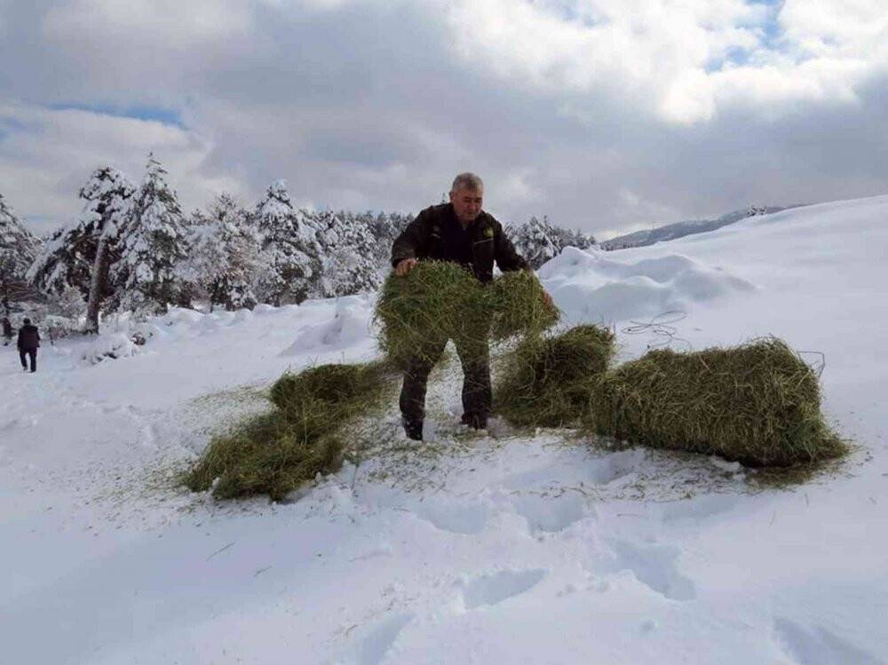 Yaban Hayatı gününde yaban hayata yem bıraktılar