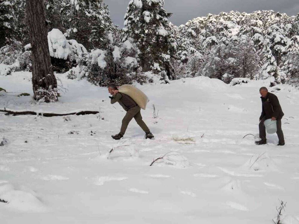 Yaban Hayatı gününde yaban hayata yem bıraktılar