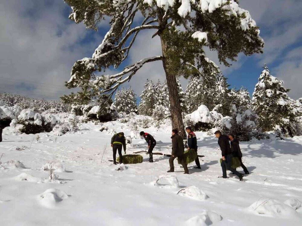 Yaban Hayatı gününde yaban hayata yem bıraktılar