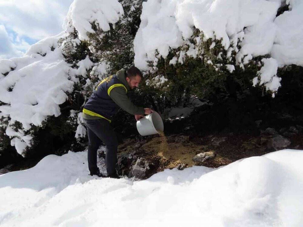 Yaban Hayatı gününde yaban hayata yem bıraktılar
