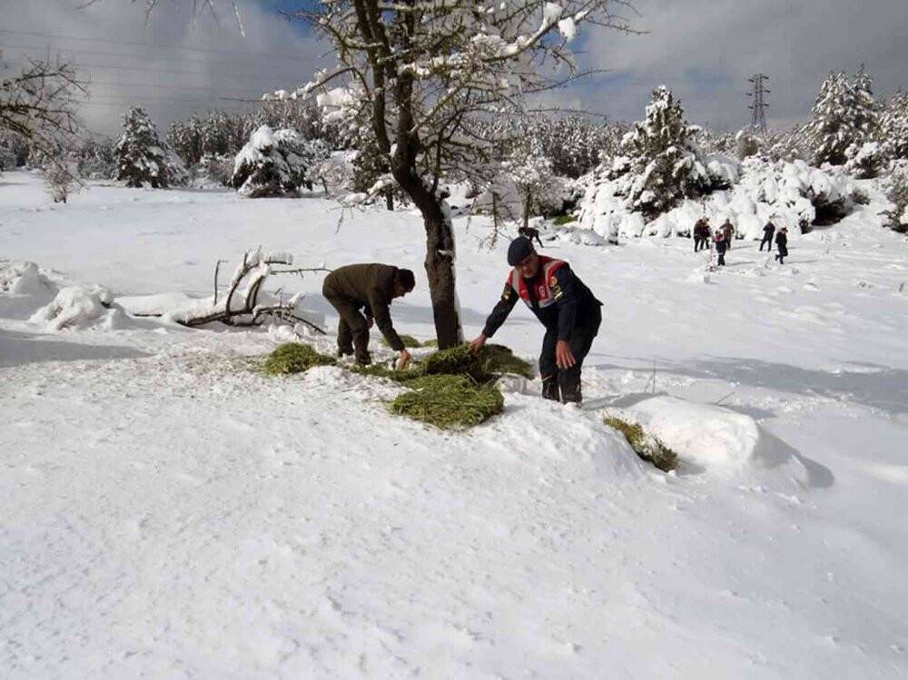 Yaban Hayatı gününde yaban hayata yem bıraktılar