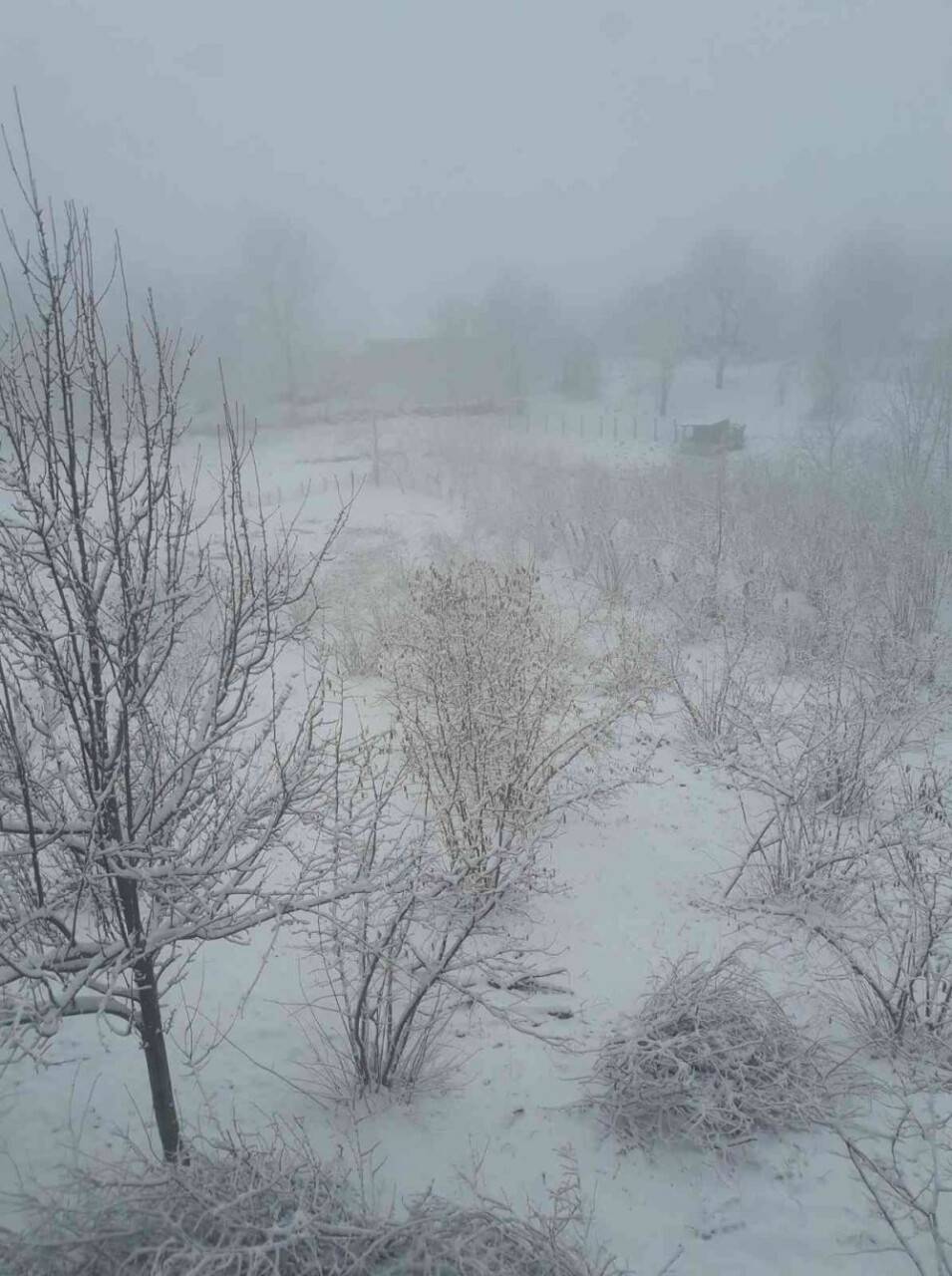 Yürksek kesimlerde kar yağışı etkili oldu