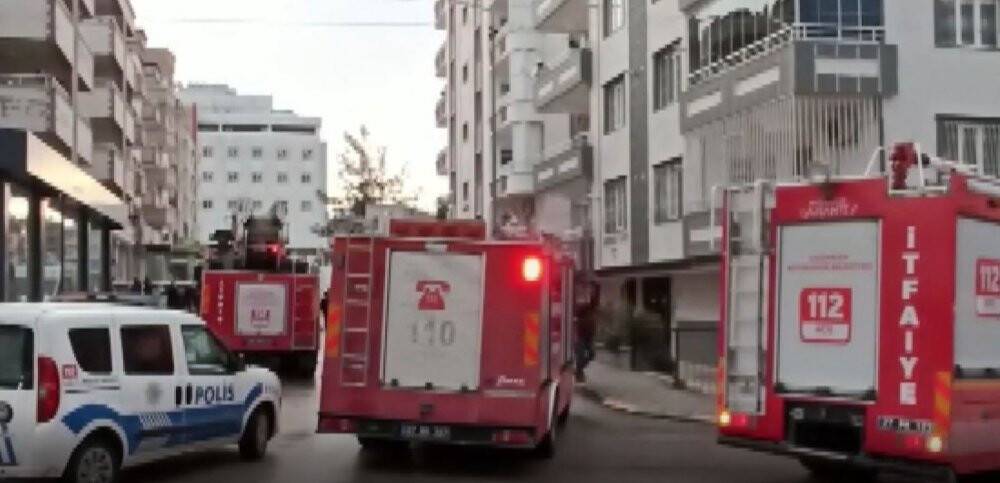 Babası horozunu satınca intihar etmek istedi