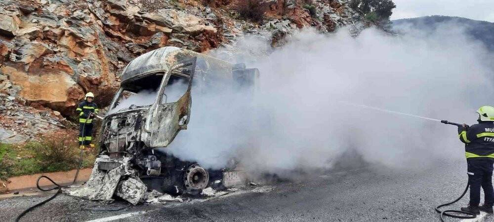 Balık yemi yüklü kamyon tamamen yandı