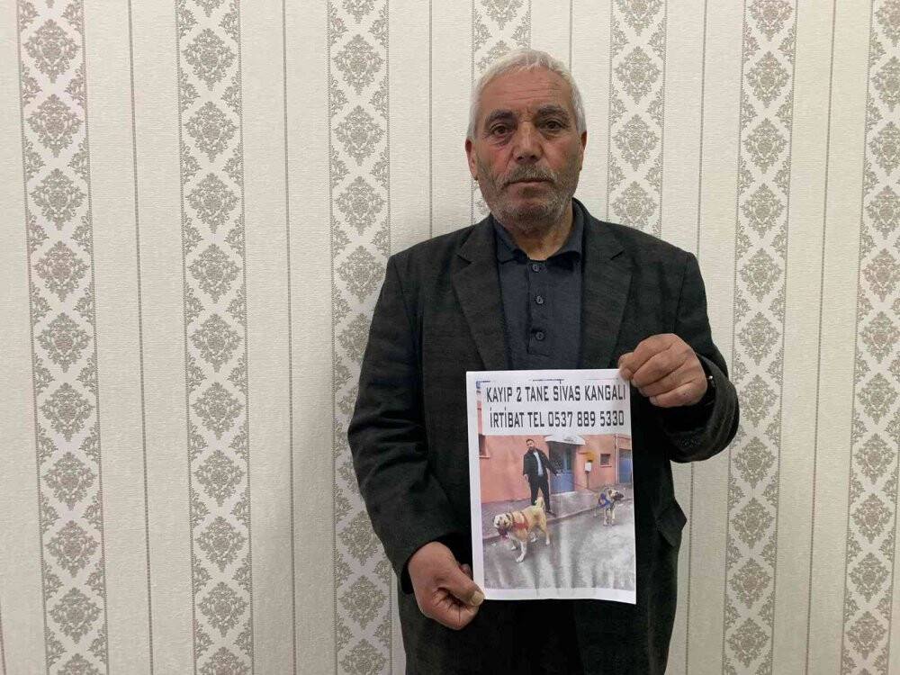 Sokak sokak gezerek  köpeklerini arıyor