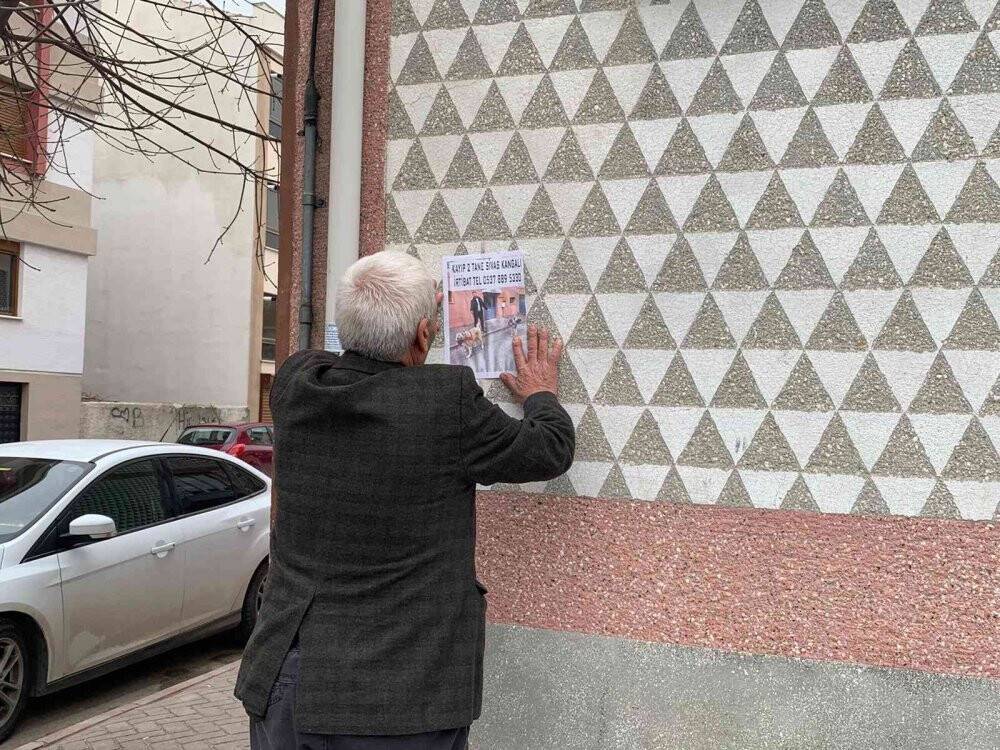 Sokak sokak gezerek  köpeklerini arıyor