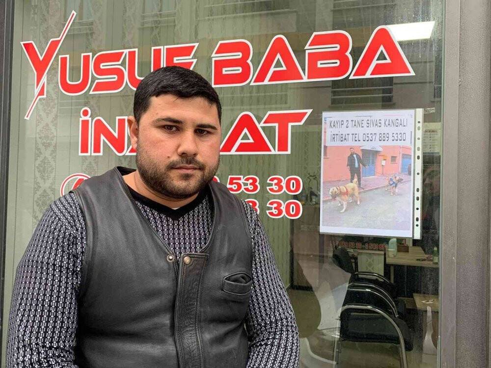 Sokak sokak gezerek  köpeklerini arıyor