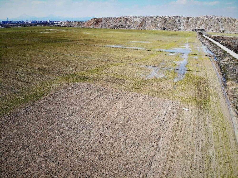 Yağışlar yüz güldürüyor, rekolte artışı bekleniyor