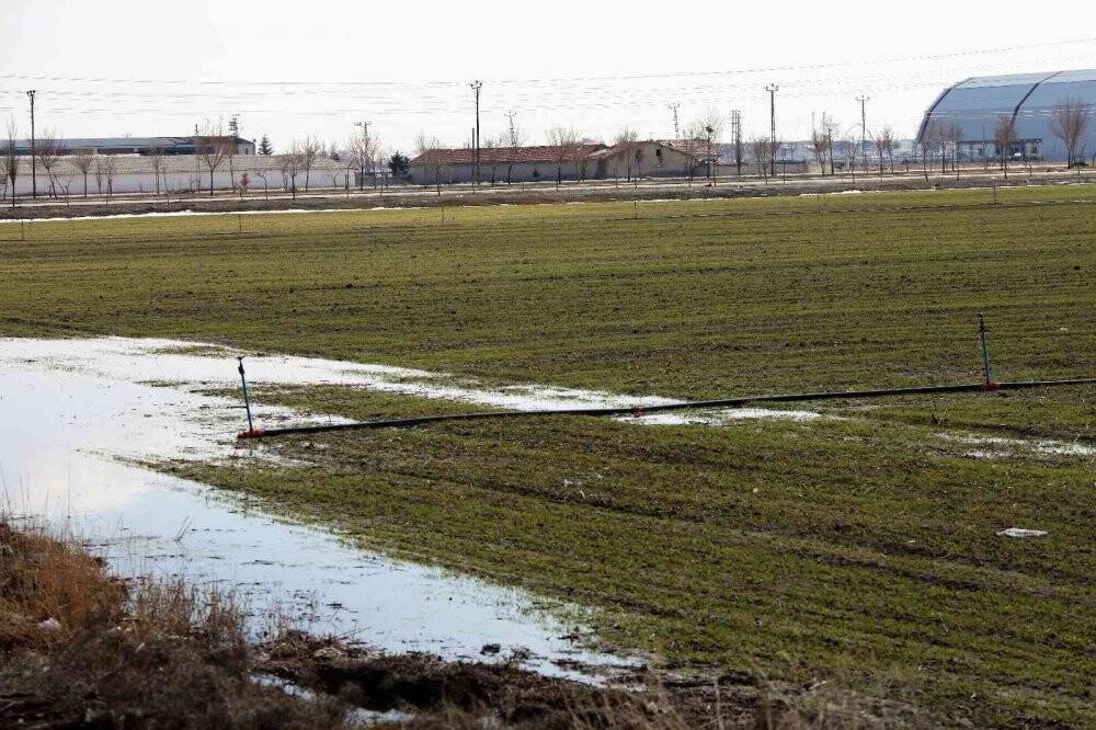 Yağışlar yüz güldürüyor, rekolte artışı bekleniyor