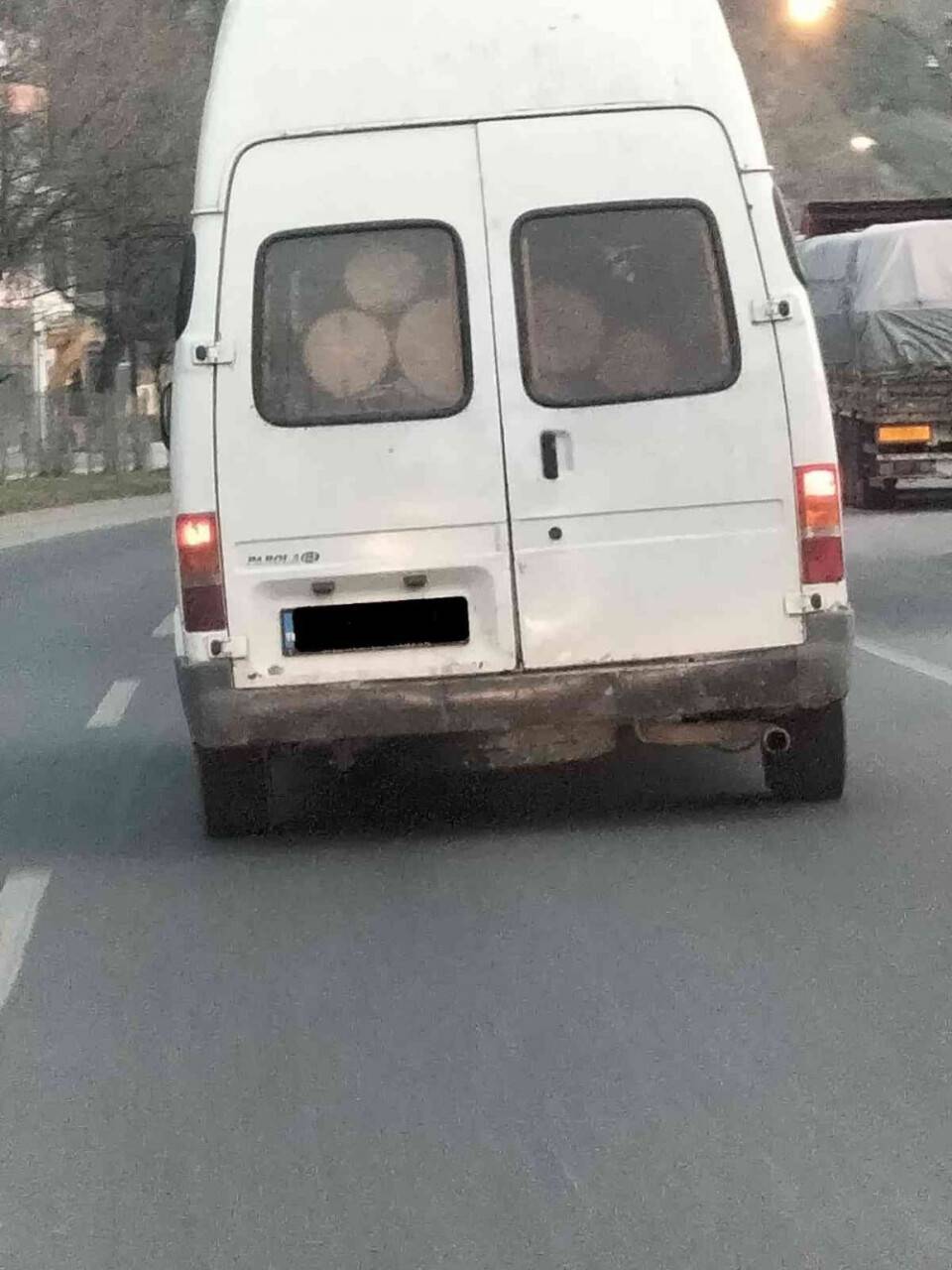 Ormandan kaçak tomruk kesen kişi fotokapana yakalandı