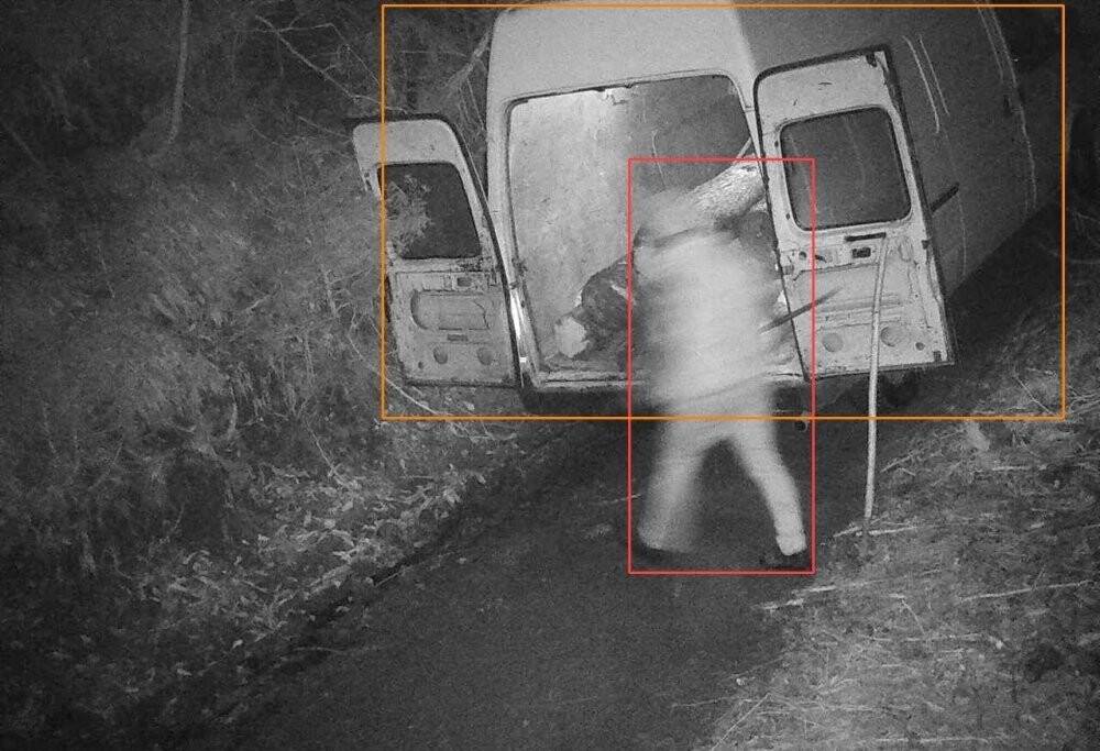 Ormandan kaçak tomruk kesen kişi fotokapana yakalandı