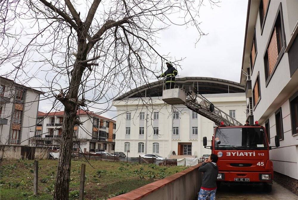 Ağaca çıkıp inemeyen kediyi itfaiye kurtardı