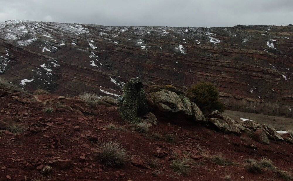 Ormanın hayaletini görüntülemek için 250 saatlerini harcadılar