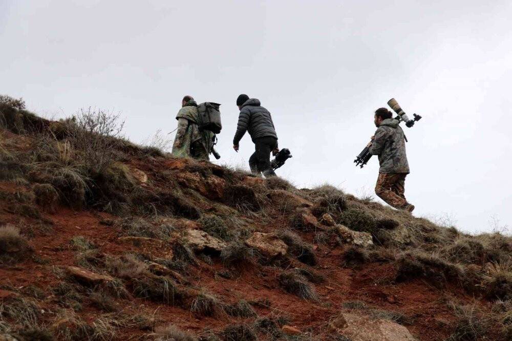 Ormanın hayaletini görüntülemek için 250 saatlerini harcadılar