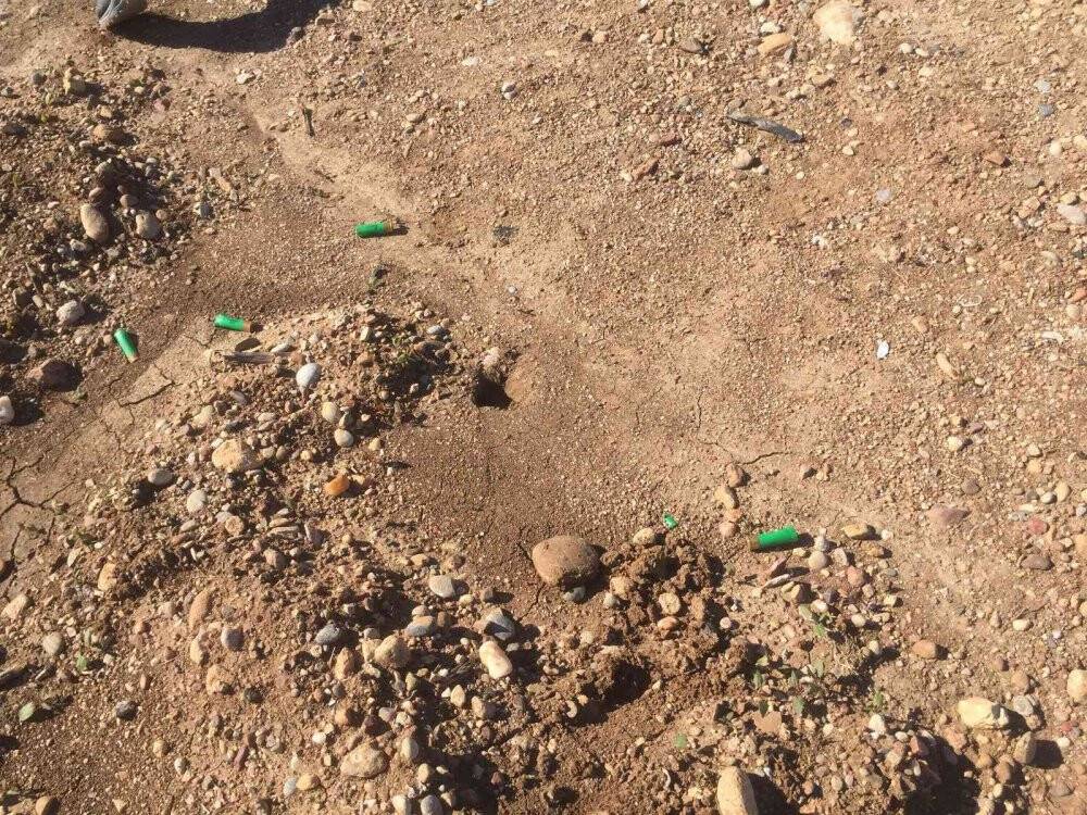 Lüks otomobil yakılmış halde bulundu