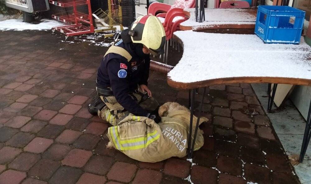 Göle düşen köpeği montuyla sararak ısıttı