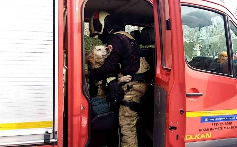 Göle düşen köpeği montuyla sararak ısıttı