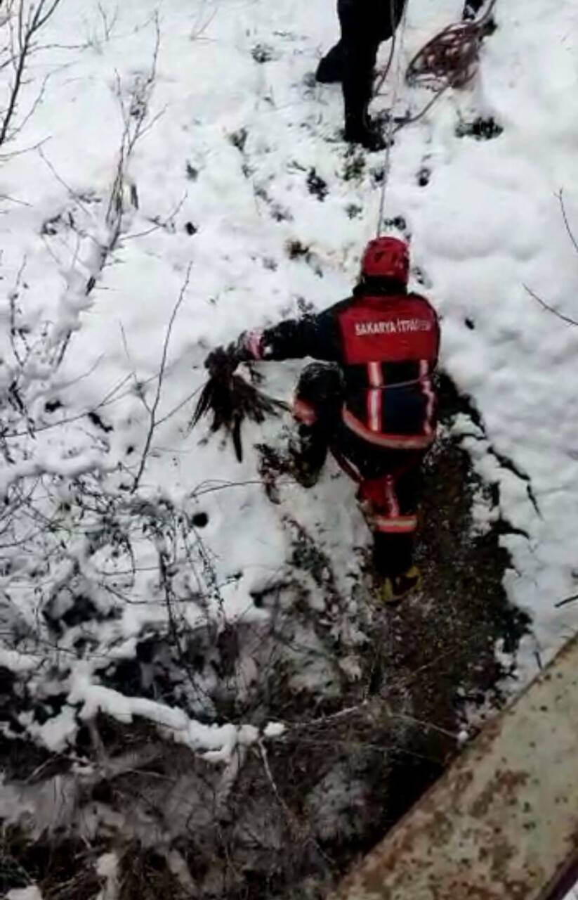 İtfaiye erleri derede mahsur kalan baykuş için seferber oldu