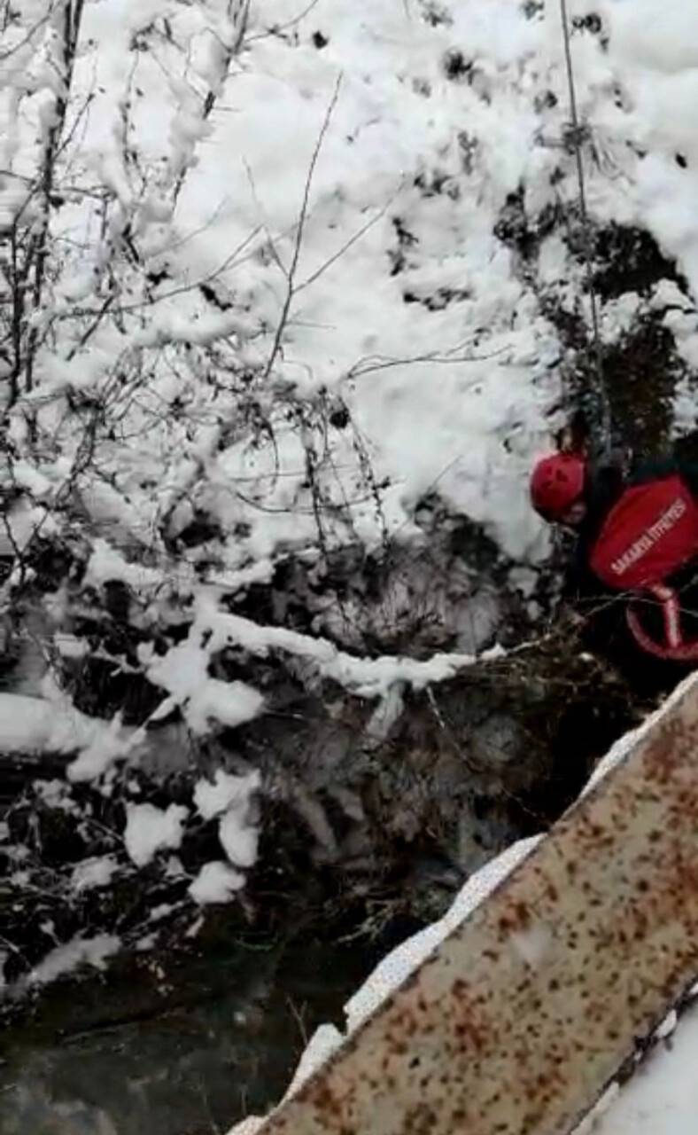 İtfaiye erleri derede mahsur kalan baykuş için seferber oldu