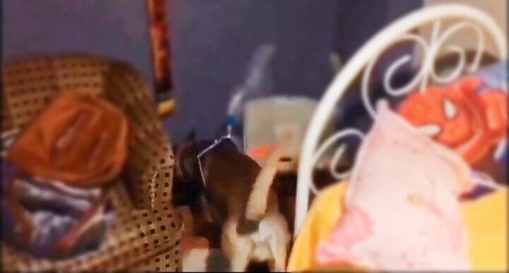 Edirne’de uyuşturucu operasyonu: 11 adrese baskın