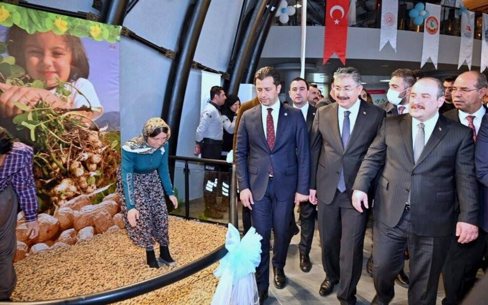 Bakan Varank, Osmaniye Fıstığı Müzesi’nin açılışını yaptı