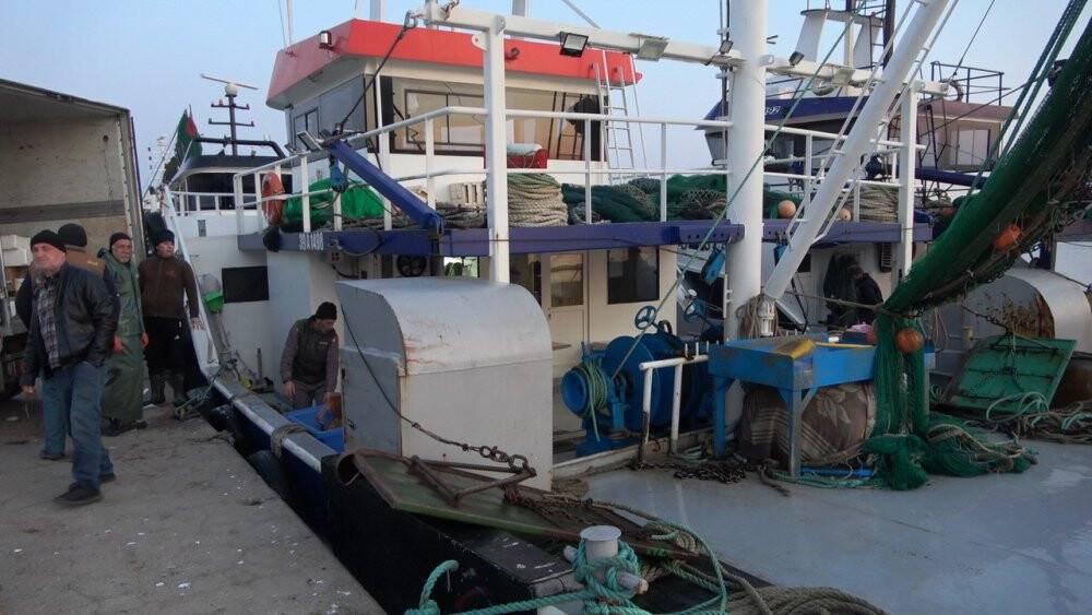 Balıkçılara mayın engeli: Karadeniz’deki balıkçılar limana döndü