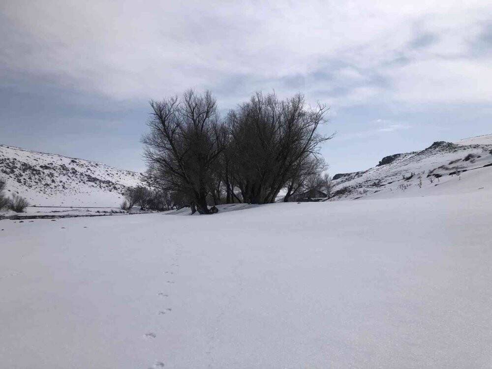 Kars’ta kartpostallık kış manzarası
