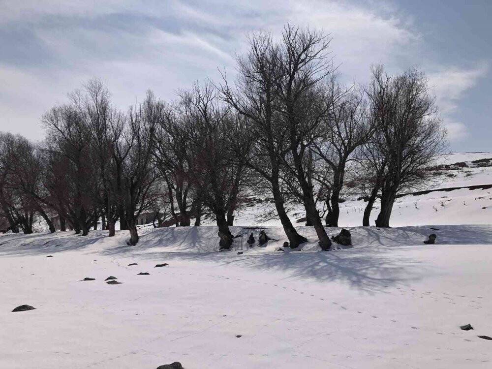 Kars’ta kartpostallık kış manzarası