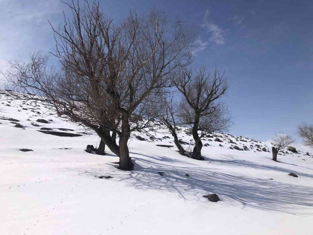 Kars’ta kartpostallık kış manzarası