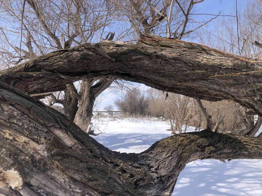 Kars’ta kartpostallık kış manzarası