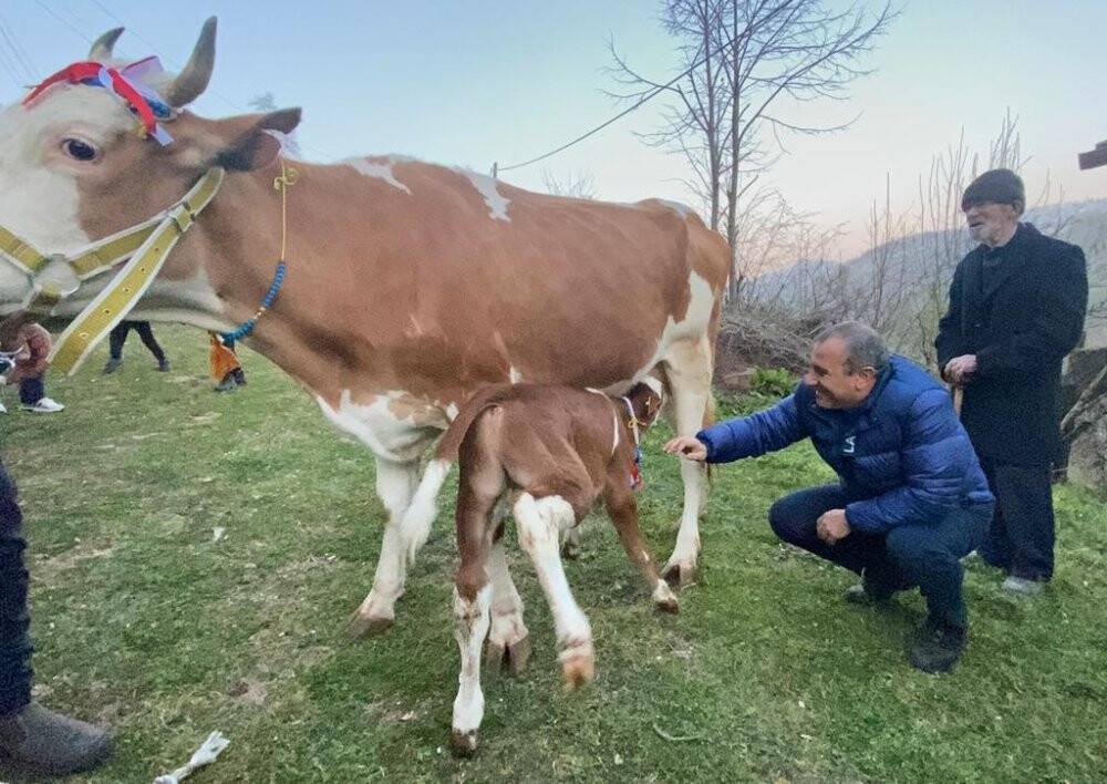 Heyelanda hayvanlarını kaybeden aileye Vali Sonel’den yeni hayvan desteği