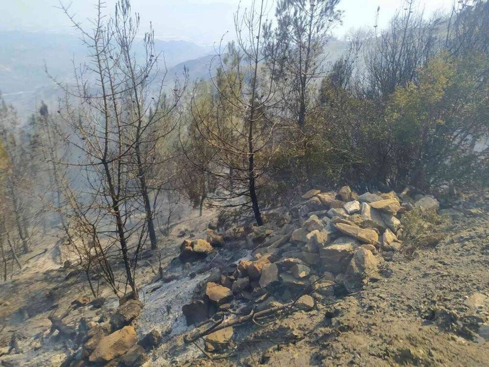 Yemek pişirmek isterken 80 dönümlük araziyi yaktı iddiası