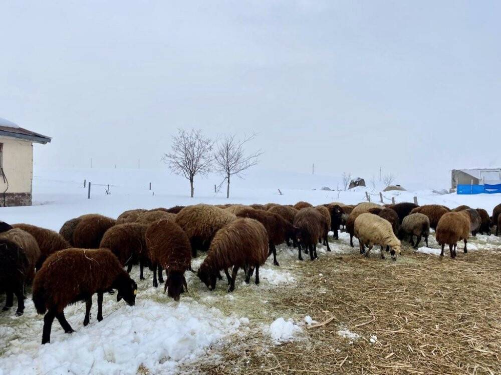 Ağrı’da ilkbaharda da soğuklar etkisini sürdürüyor