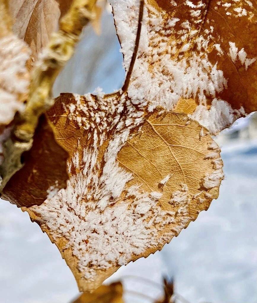 Ağrı’da ilkbaharda da soğuklar etkisini sürdürüyor
