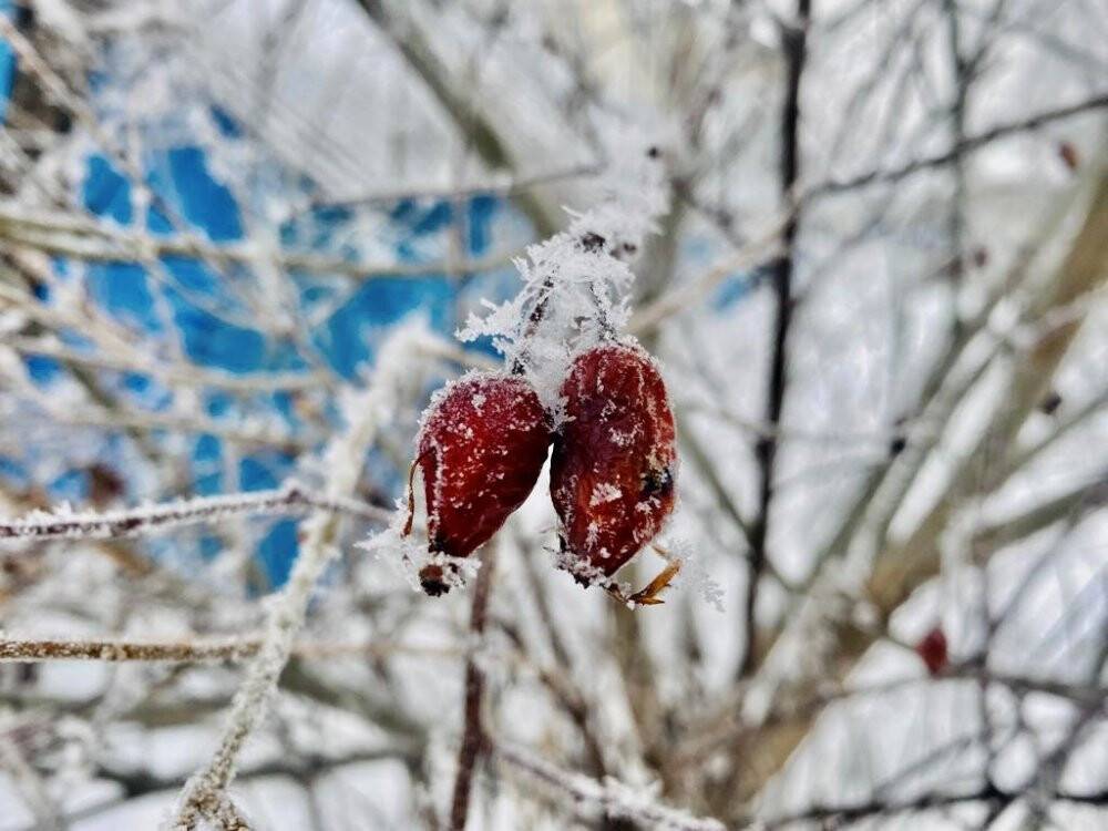 Ağrı’da ilkbaharda da soğuklar etkisini sürdürüyor