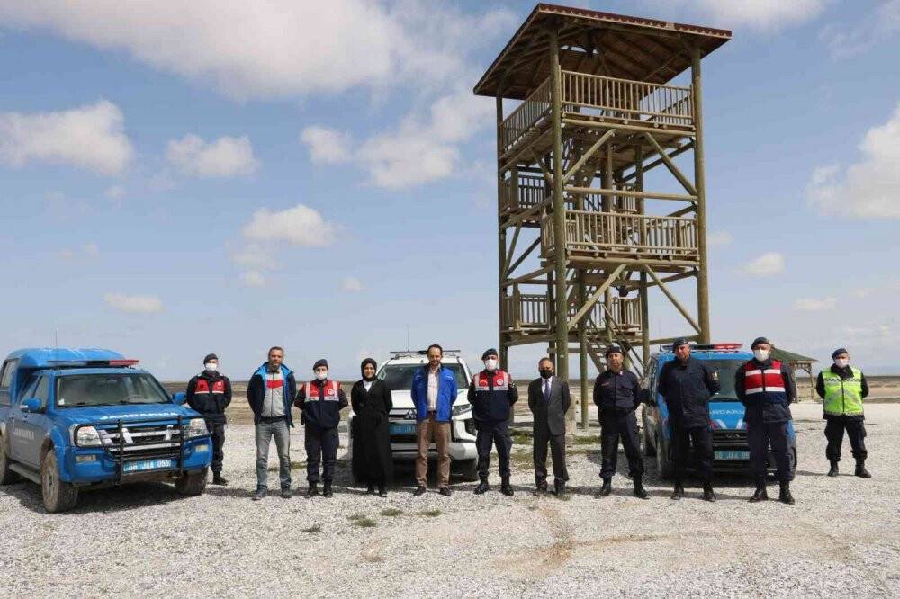 Tuz Gölü’nde Flamingo ölümlerine jandarma önlemi