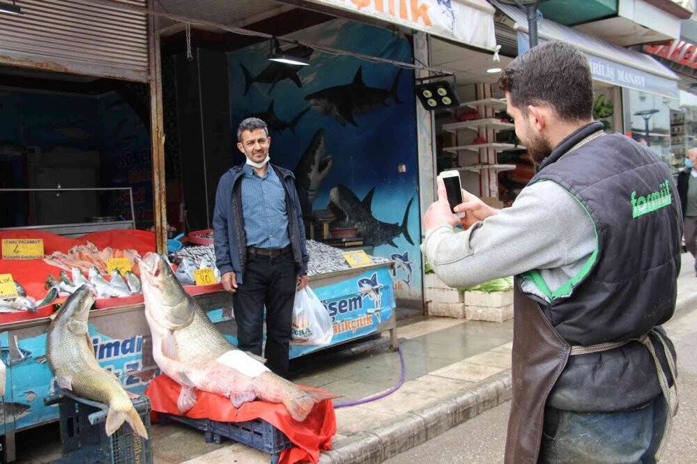 Dev turna balığı 103 kilogram