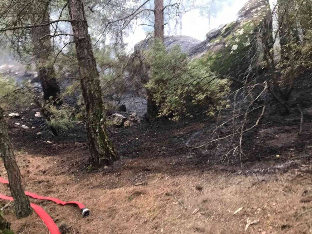 Karpuzlu’da orman yangını
