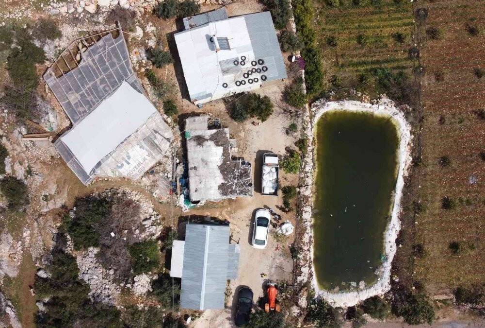 Gören şaşırdı... Tüysüz doğdu