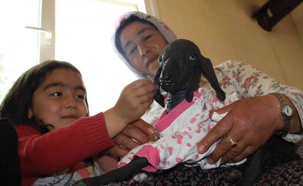Gören şaşırdı... Tüysüz doğdu