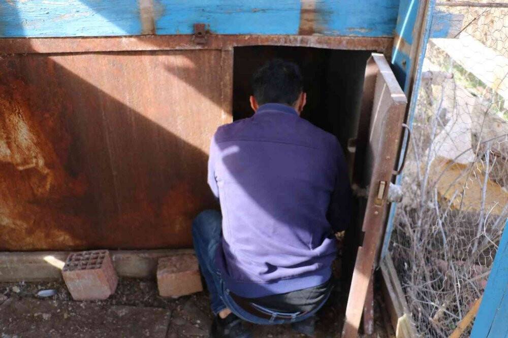 Güvercinlerine dadanan hırsızlarla baş edemiyor