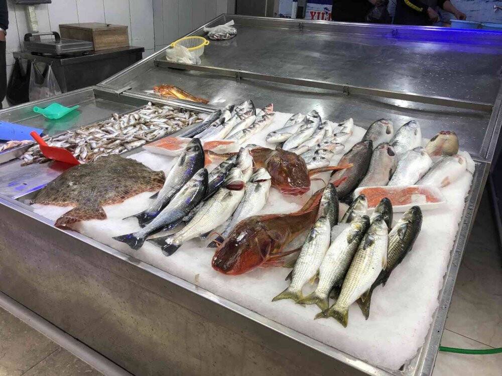 Kırlangıç balıkları, kilosu 250 liradan satılıyor