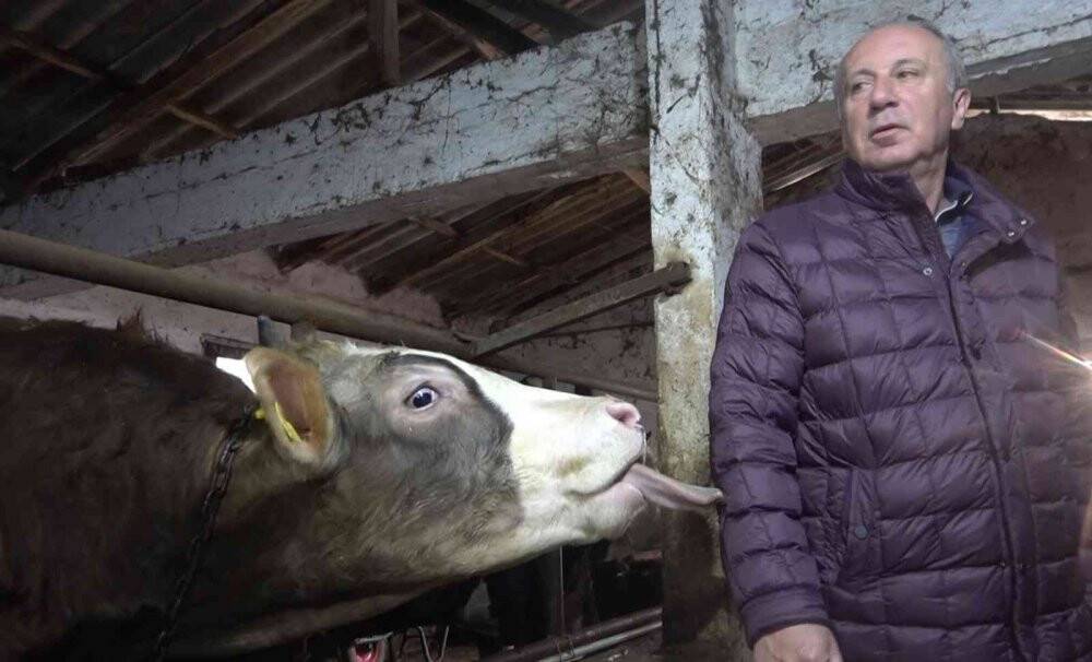 Muharrem İnce’den ahırda basın toplantısı