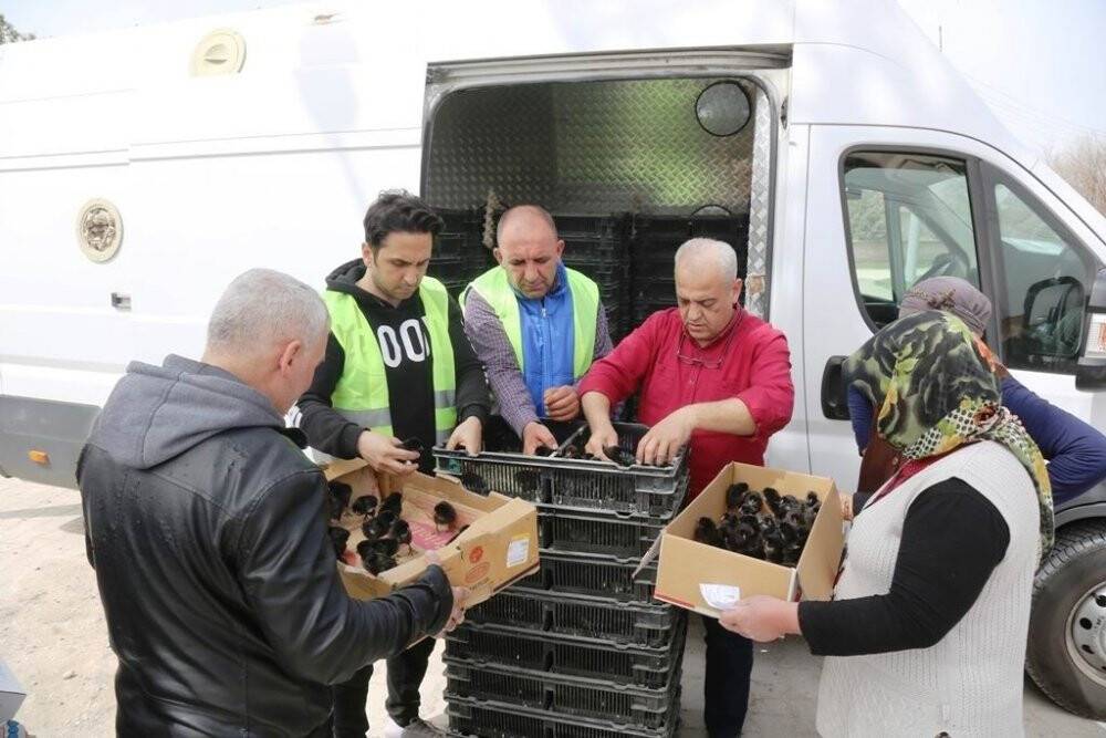 Ereğli Belediyesi'nden üretime destek