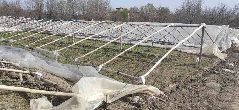 Malatya’da şiddetli rüzgar seralara zarar verdi