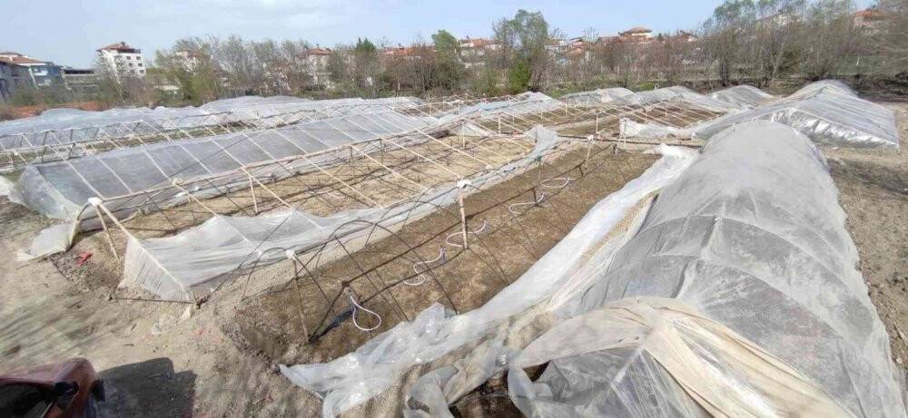 Malatya’da şiddetli rüzgar seralara zarar verdi