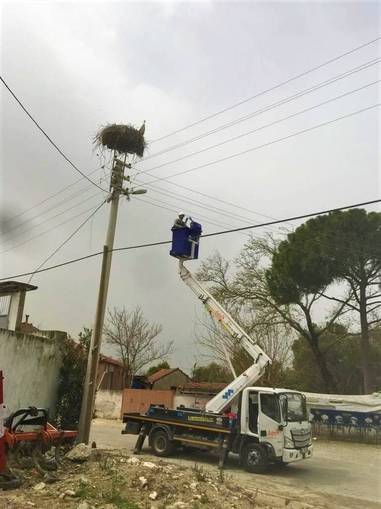 Maske atıkları, leylekleri tehdit ediyor